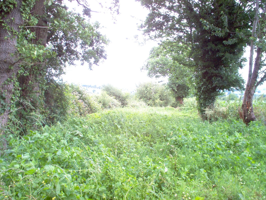 20110000 LA PAVÉE Pont-Farcy 18.jpg - IM000278.JPG